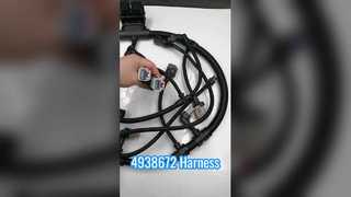 4938672 Koşum Takımı