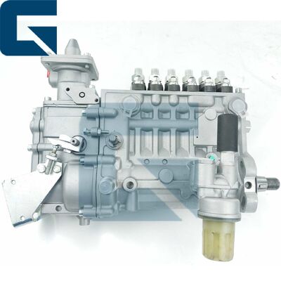 0423-4301 Fuel Injection Pump 04234301 for BF6L914 Engine